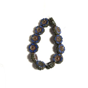 Hib7bluepic300