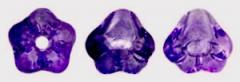 FlwBabyultraviolet2