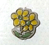 flower-daisy-tn.gif