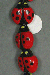 ladybug-verticle-tn.gif